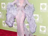 Catherine Zeta Jones Posing In Hot Transparent Dress