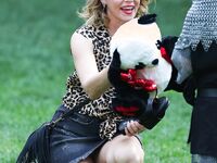 Elizabeth Banks Paparazzi Bikini And Panties Upskirt Pics