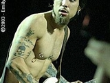 dave navarro