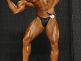 2008 national mens bodybuilding